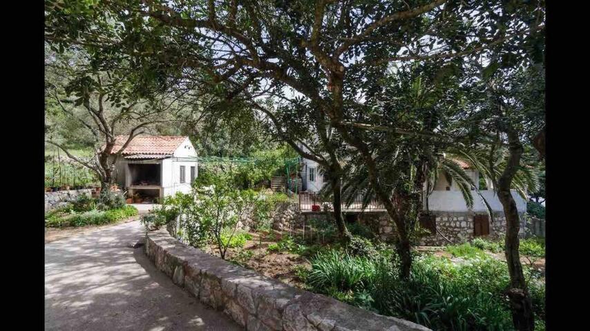 Villa Franic Saplunara Buitenkant foto